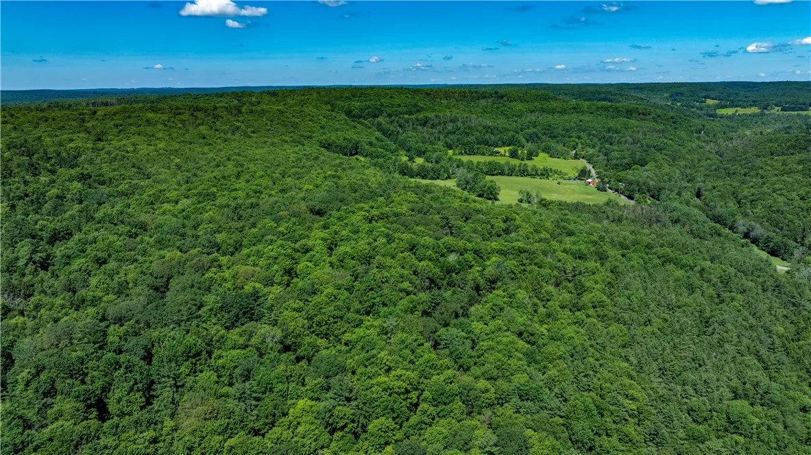 Lower Ravine Road, Norwich, New York 13815, Norwich, New York 13815, ,Land,For Sale,Lower Ravine Road, Norwich, New York 13815,R1622691
