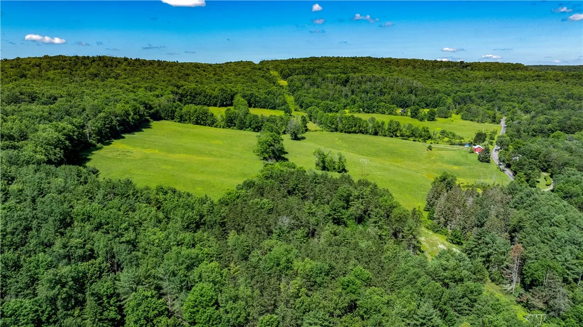 Lower Ravine Road, Norwich, New York 13815, Norwich, New York 13815, ,Land,For Sale,Lower Ravine Road, Norwich, New York 13815,R1622691
