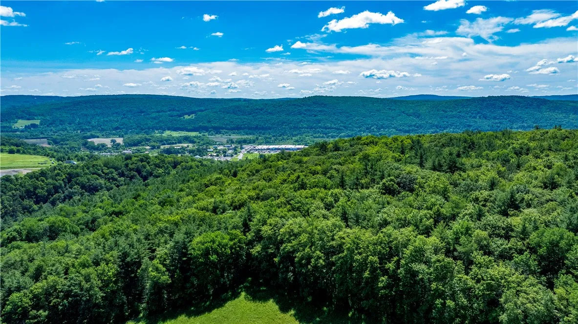 Lower Ravine Road, Norwich, New York 13815, Norwich, New York 13815, ,Land,For Sale,Lower Ravine Road, Norwich, New York 13815,R1622691