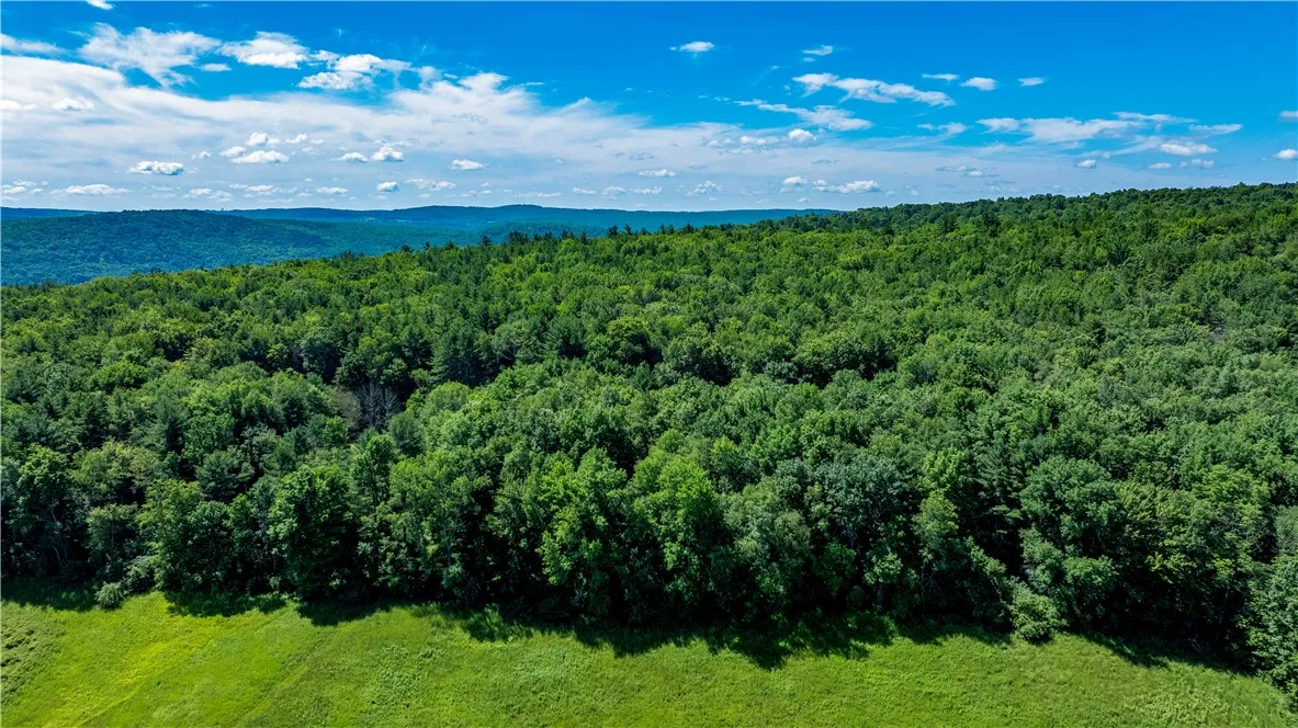 Lower Ravine Road, Norwich, New York 13815, Norwich, New York 13815, ,Land,For Sale,Lower Ravine Road, Norwich, New York 13815,R1622691