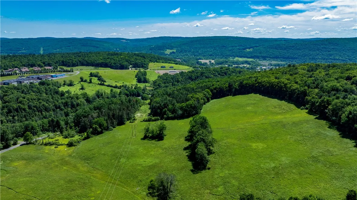 Lower Ravine Road, Norwich, New York 13815, Norwich, New York 13815, ,Land,For Sale,Lower Ravine Road, Norwich, New York 13815,R1622691