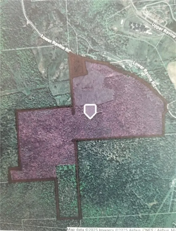 Lower Ravine Road, Norwich, New York 13815, Norwich, New York 13815, ,Land,For Sale,Lower Ravine Road, Norwich, New York 13815,R1622691