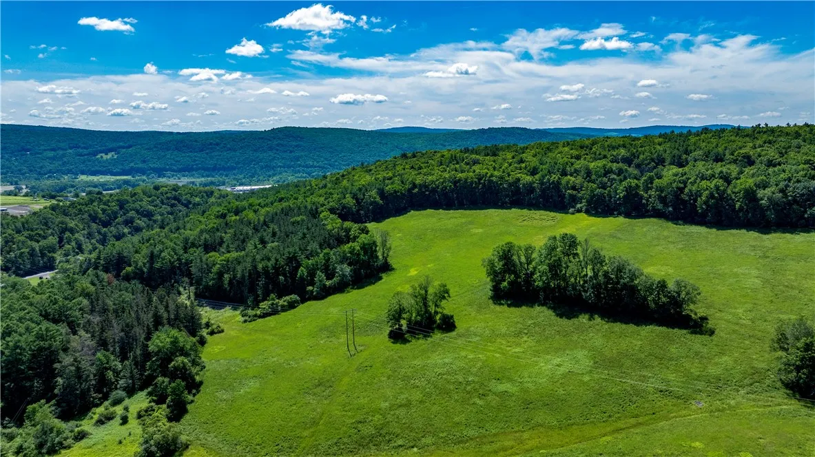 Lower Ravine Road, Norwich, New York 13815, Norwich, New York 13815, ,Land,For Sale,Lower Ravine Road, Norwich, New York 13815,R1622691