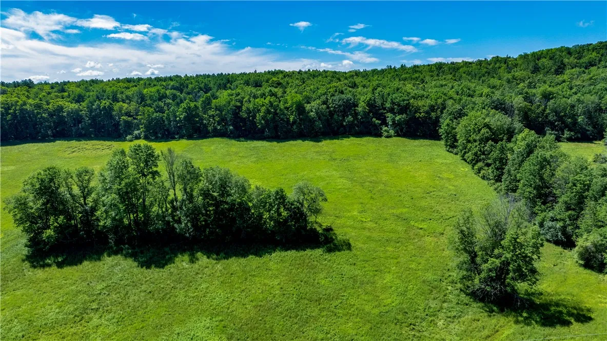 Lower Ravine Road, Norwich, New York 13815, Norwich, New York 13815, ,Land,For Sale,Lower Ravine Road, Norwich, New York 13815,R1622691