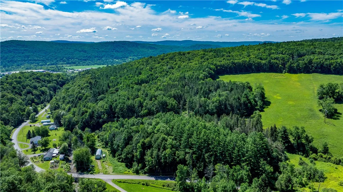 Lower Ravine Road, Norwich, New York 13815, Norwich, New York 13815, ,Land,For Sale,Lower Ravine Road, Norwich, New York 13815,R1622691