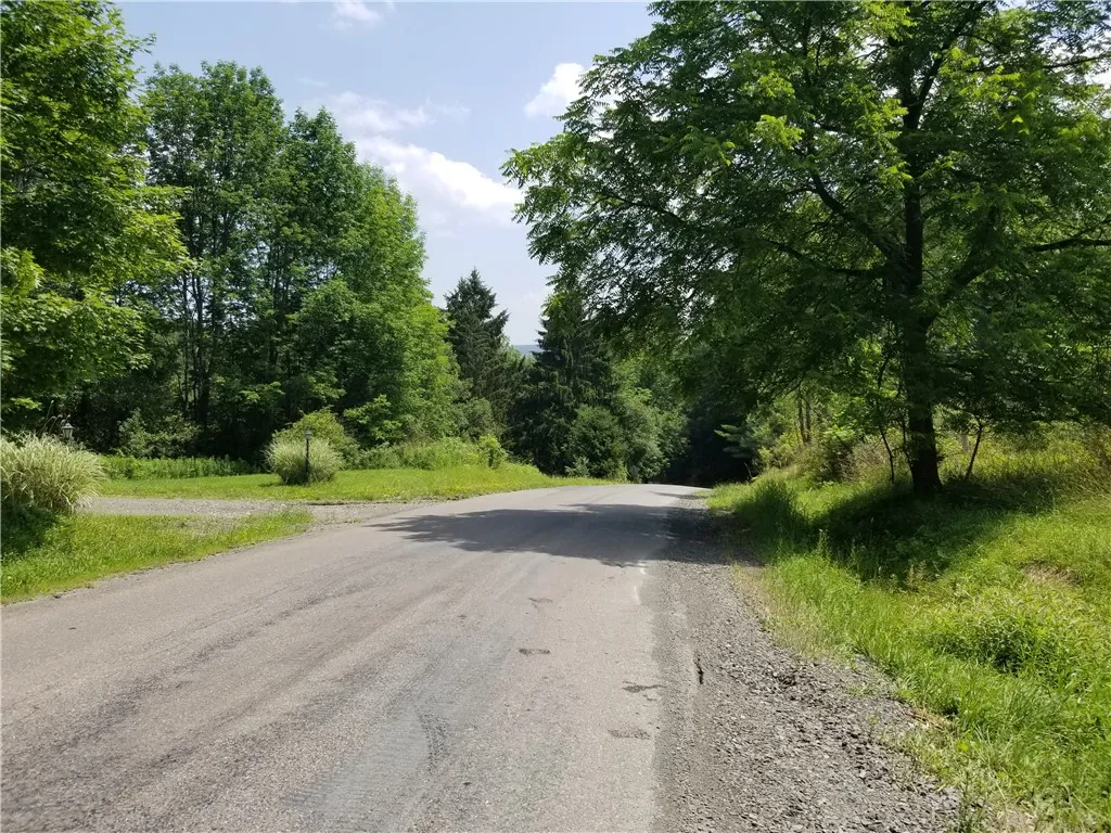 Lower Ravine Road, Norwich, New York 13815, Norwich, New York 13815, ,Land,For Sale,Lower Ravine Road, Norwich, New York 13815,R1622691
