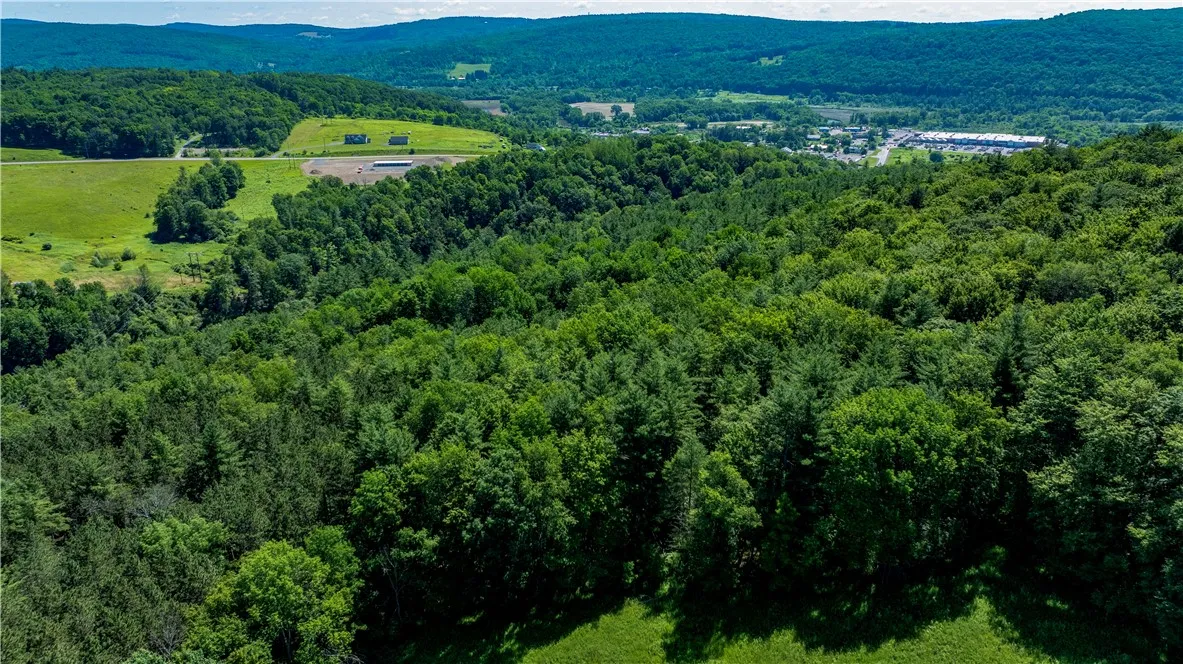 Lower Ravine Road, Norwich, New York 13815, Norwich, New York 13815, ,Land,For Sale,Lower Ravine Road, Norwich, New York 13815,R1622691