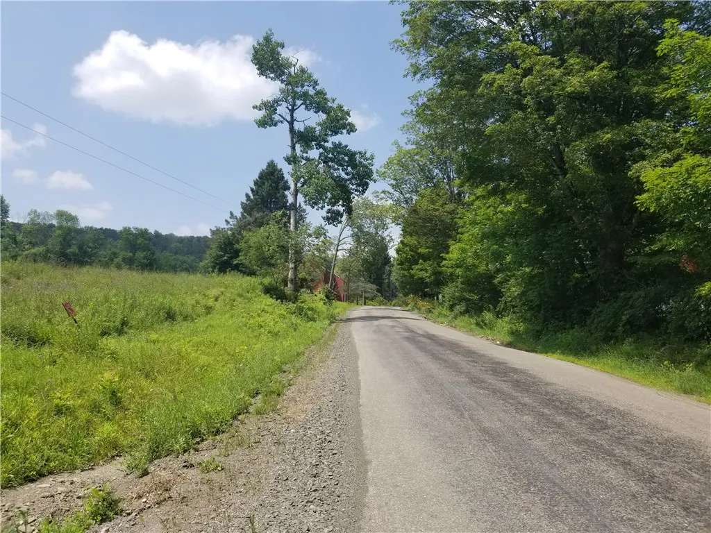 Lower Ravine Road, Norwich, New York 13815, Norwich, New York 13815, ,Land,For Sale,Lower Ravine Road, Norwich, New York 13815,R1622691