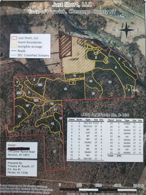 Lower Ravine Road, Norwich, New York 13815, Norwich, New York 13815, ,Land,For Sale,Lower Ravine Road, Norwich, New York 13815,R1622691