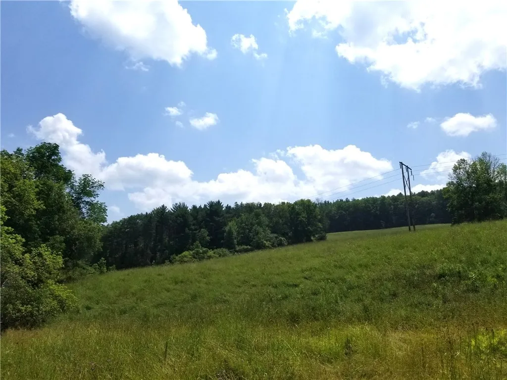 Lower Ravine Road, Norwich, New York 13815, Norwich, New York 13815, ,Land,For Sale,Lower Ravine Road, Norwich, New York 13815,R1622691