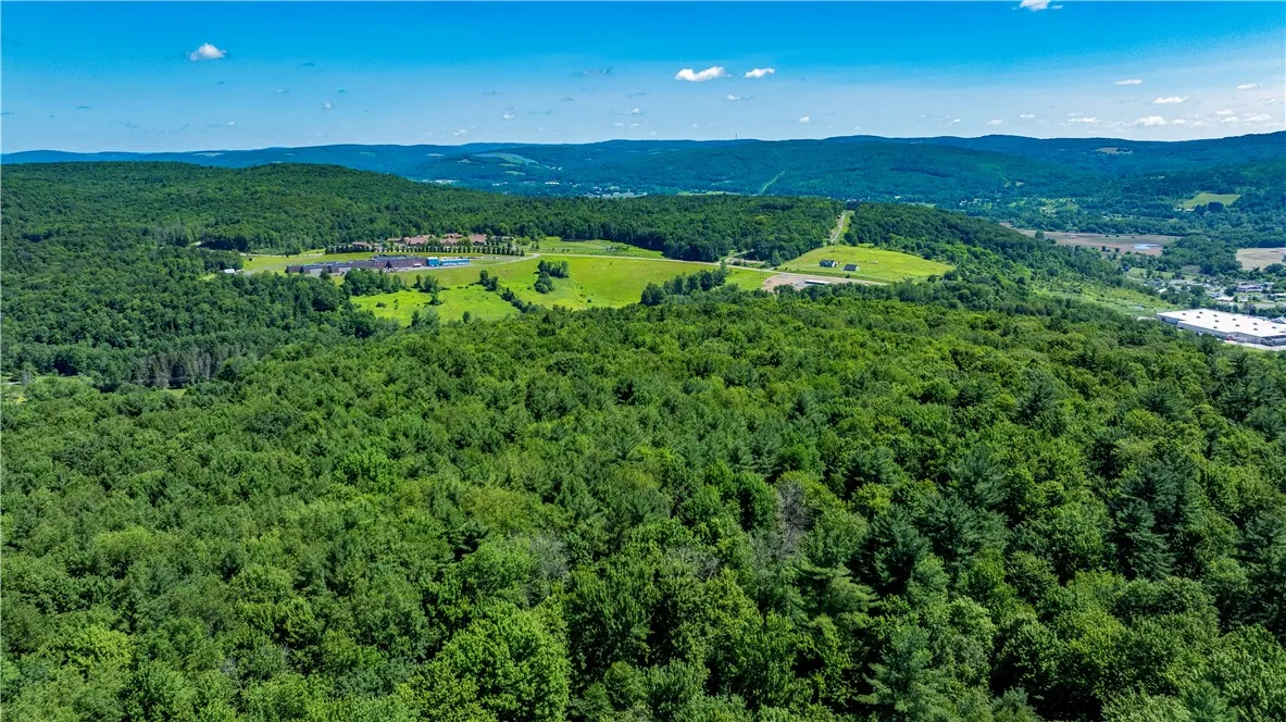 Lower Ravine Road, Norwich, New York 13815, Norwich, New York 13815, ,Land,For Sale,Lower Ravine Road, Norwich, New York 13815,R1622691