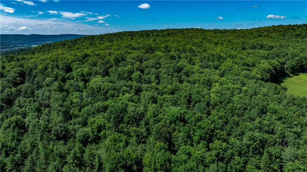 Lower Ravine Road, Norwich, New York 13815, Norwich, New York 13815, ,Land,For Sale,Lower Ravine Road, Norwich, New York 13815,R1622691