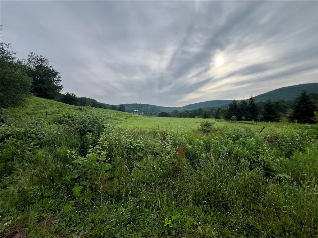 834 Crescent Valley Road, Bovina, New York 13740, Bovina, New York 13740, 4 Bedrooms Bedrooms, 7 Rooms Rooms,2 BathroomsBathrooms,Residential,For Sale,834 Crescent Valley Road, Bovina, New York 13740,R1621590