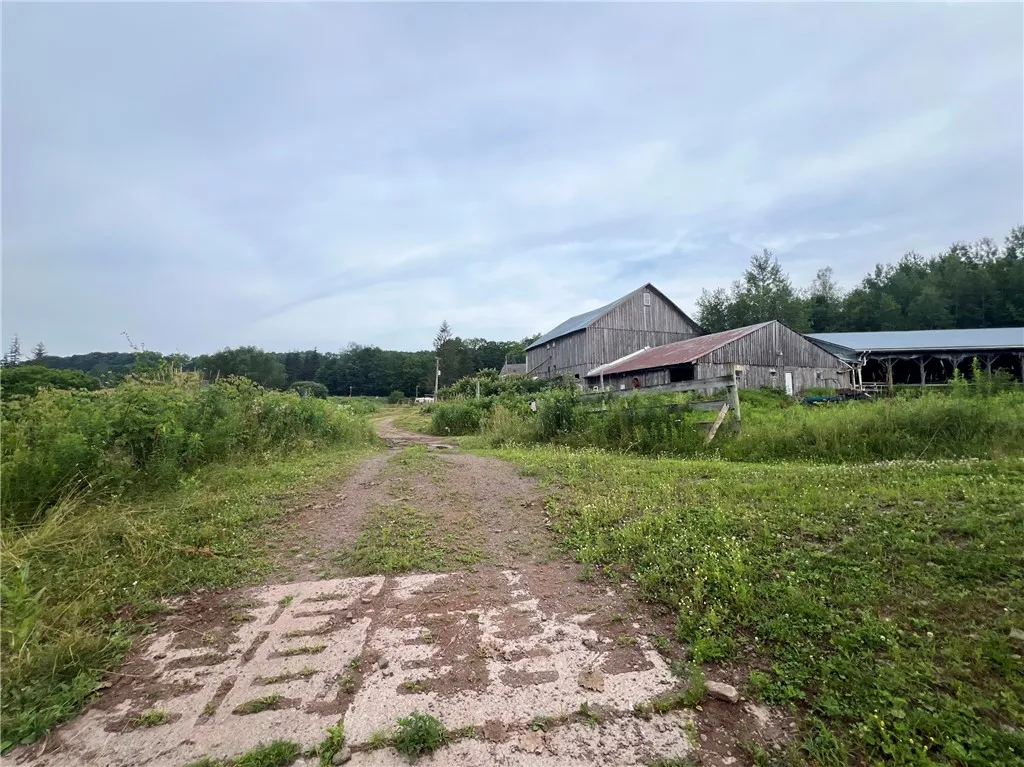 834 Crescent Valley Road, Bovina, New York 13740, Bovina, New York 13740, 4 Bedrooms Bedrooms, 7 Rooms Rooms,2 BathroomsBathrooms,Residential,For Sale,834 Crescent Valley Road, Bovina, New York 13740,R1621590