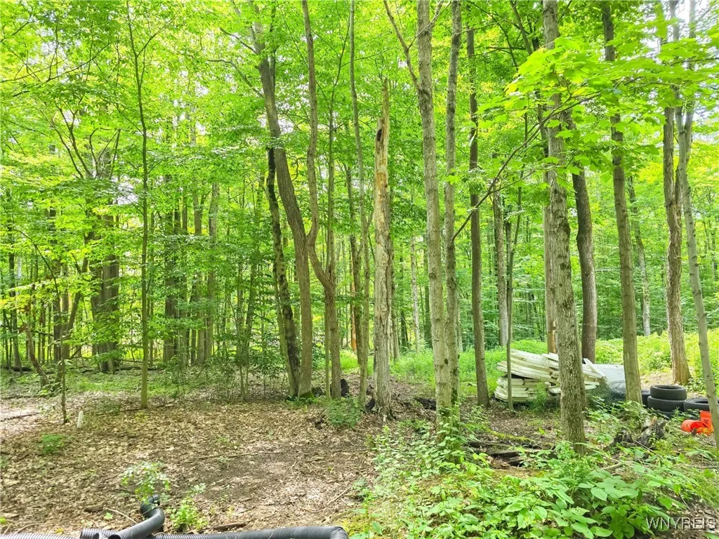 6891 Mount Monroe Road C, New Hudson, New York 147, New Hudson, New York 14727, ,Land,For Sale,6891 Mount Monroe Road C, New Hudson, New York 147,B1623017