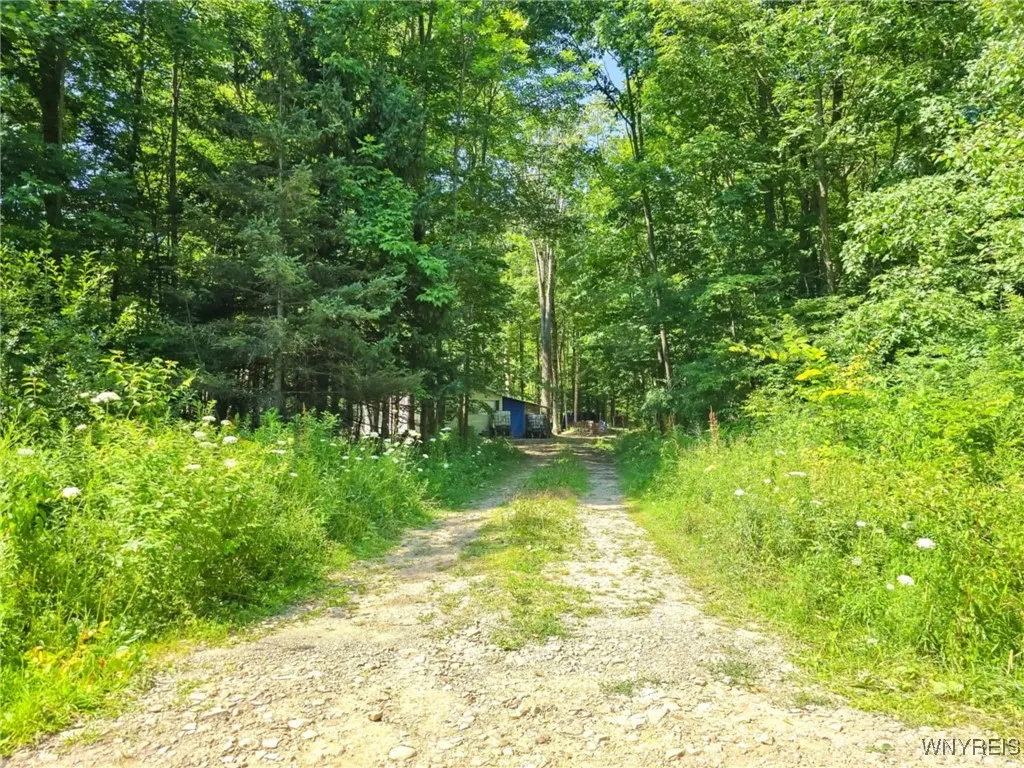 6891 Mount Monroe Road C, New Hudson, New York 147, New Hudson, New York 14727, ,Land,For Sale,6891 Mount Monroe Road C, New Hudson, New York 147,B1623017