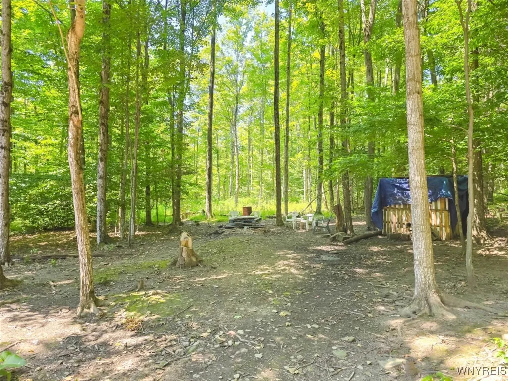 6891 Mount Monroe Road C, New Hudson, New York 147, New Hudson, New York 14727, ,Land,For Sale,6891 Mount Monroe Road C, New Hudson, New York 147,B1623017