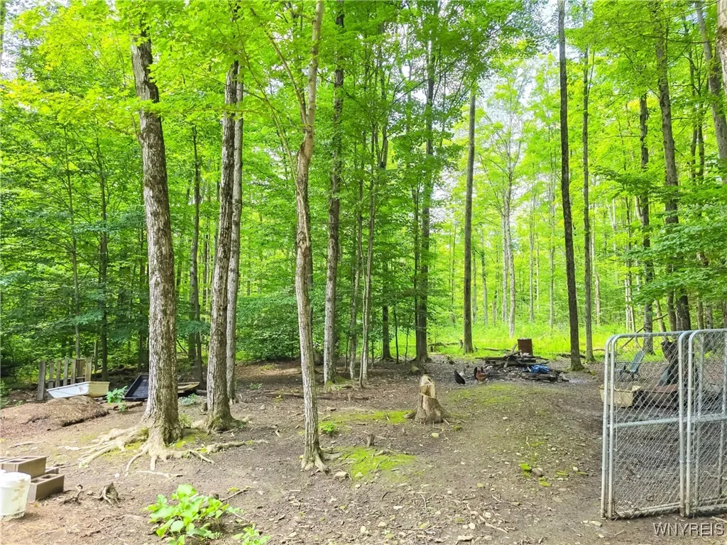 6891 Mount Monroe Road C, New Hudson, New York 147, New Hudson, New York 14727, ,Land,For Sale,6891 Mount Monroe Road C, New Hudson, New York 147,B1623017