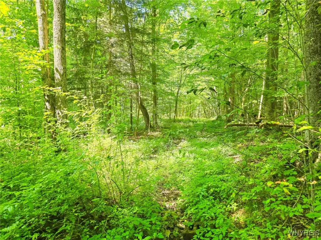6891 Mount Monroe Road C, New Hudson, New York 147, New Hudson, New York 14727, ,Land,For Sale,6891 Mount Monroe Road C, New Hudson, New York 147,B1623017