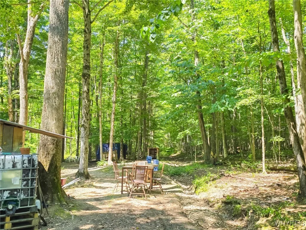 6891 Mount Monroe Road C, New Hudson, New York 147, New Hudson, New York 14727, ,Land,For Sale,6891 Mount Monroe Road C, New Hudson, New York 147,B1623017