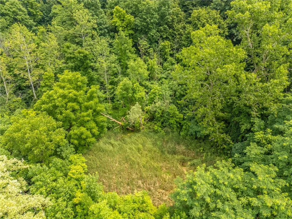 475 Farrell Road Extension, Henrietta, New York 14, Henrietta, New York 14586, 3 Bedrooms Bedrooms, 6 Rooms Rooms,1 BathroomBathrooms,Residential,For Sale,475 Farrell Road Extension, Henrietta, New York 14,R1622597