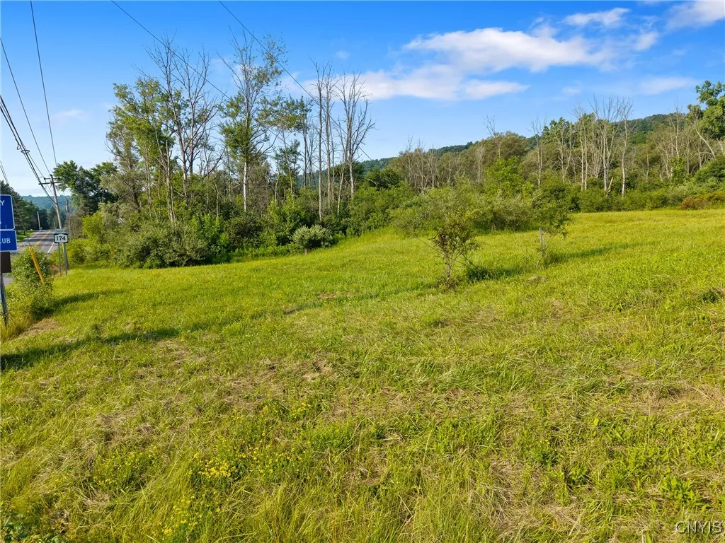 2500 Cherry Valley, Marcellus, New York 13108, Marcellus, New York 13108, ,Land,For Sale,2500 Cherry Valley, Marcellus, New York 13108,S1623155