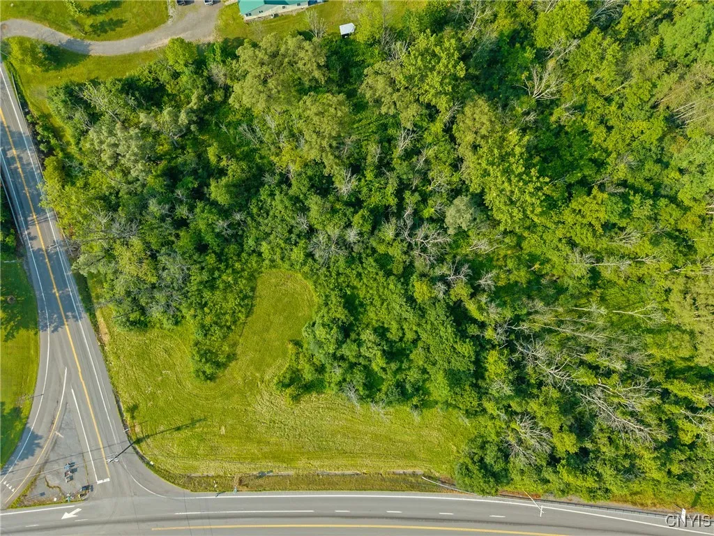 2500 Cherry Valley, Marcellus, New York 13108, Marcellus, New York 13108, ,Land,For Sale,2500 Cherry Valley, Marcellus, New York 13108,S1623155