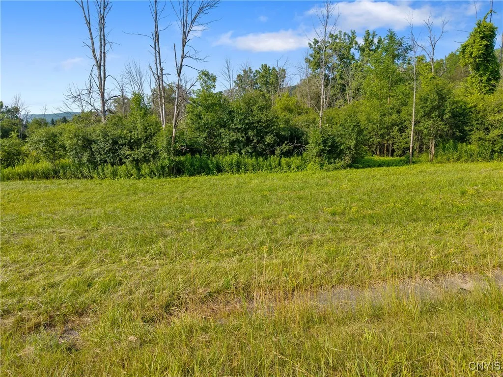 2500 Cherry Valley, Marcellus, New York 13108, Marcellus, New York 13108, ,Land,For Sale,2500 Cherry Valley, Marcellus, New York 13108,S1623155
