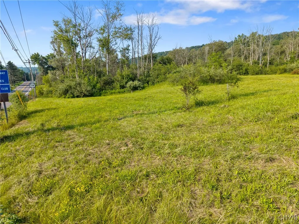 2500 Cherry Valley, Marcellus, New York 13108, Marcellus, New York 13108, ,Land,For Sale,2500 Cherry Valley, Marcellus, New York 13108,S1623155