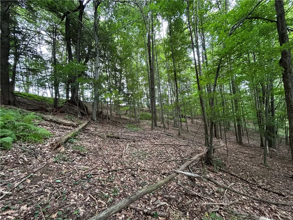 1003 County Highway 35, Masonville, New York 13839, Masonville, New York 13839, 2 Bedrooms Bedrooms, 5 Rooms Rooms,1 BathroomBathrooms,Residential,For Sale,1003 County Highway 35, Masonville, New York 13839,R1623150