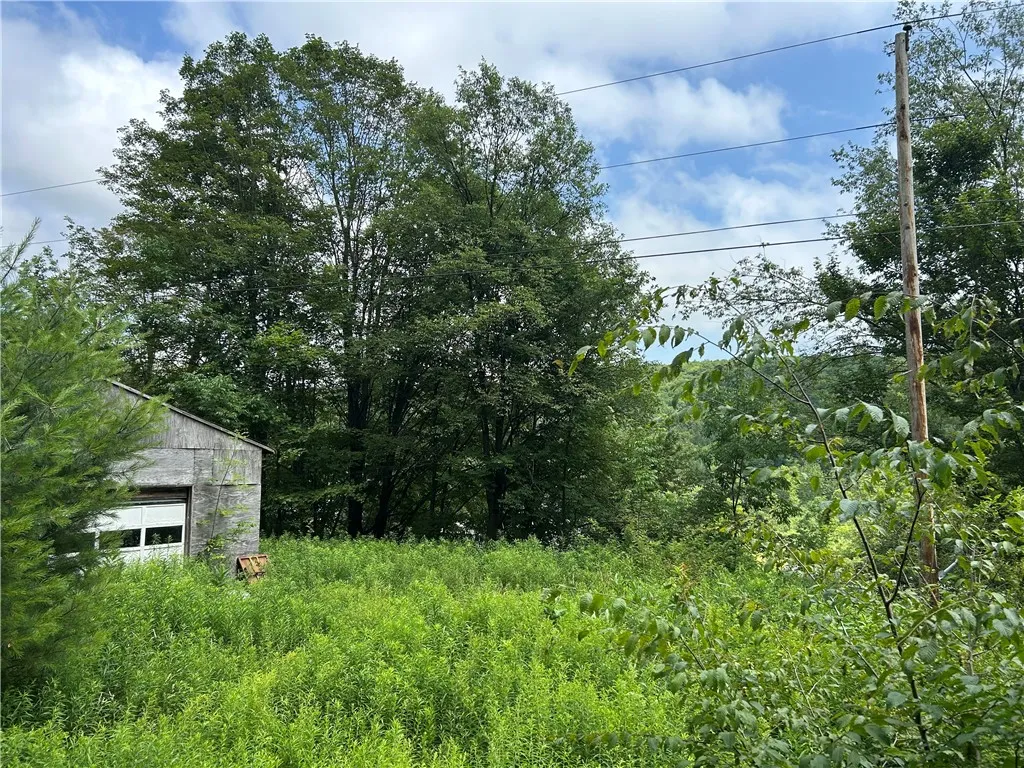 1003 County Highway 35, Masonville, New York 13839, Masonville, New York 13839, 2 Bedrooms Bedrooms, 5 Rooms Rooms,1 BathroomBathrooms,Residential,For Sale,1003 County Highway 35, Masonville, New York 13839,R1623150