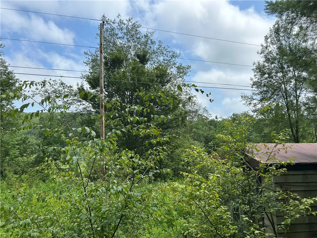 1003 County Highway 35, Masonville, New York 13839, Masonville, New York 13839, 2 Bedrooms Bedrooms, 5 Rooms Rooms,1 BathroomBathrooms,Residential,For Sale,1003 County Highway 35, Masonville, New York 13839,R1623150