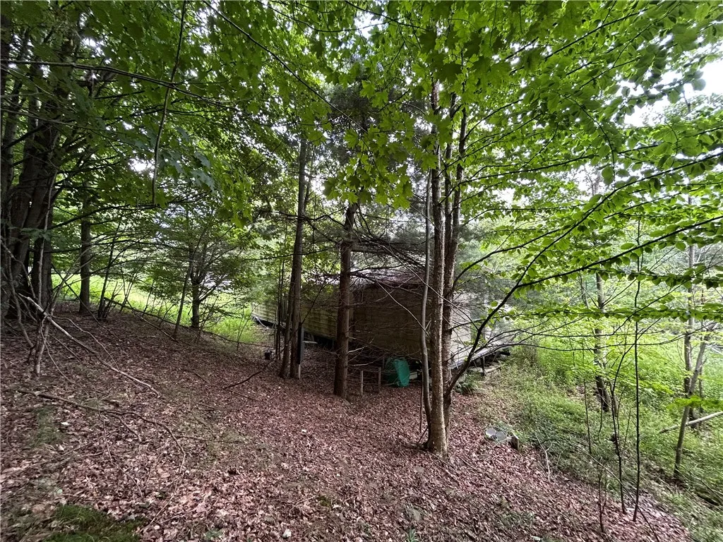1003 County Highway 35, Masonville, New York 13839, Masonville, New York 13839, 2 Bedrooms Bedrooms, 5 Rooms Rooms,1 BathroomBathrooms,Residential,For Sale,1003 County Highway 35, Masonville, New York 13839,R1623150