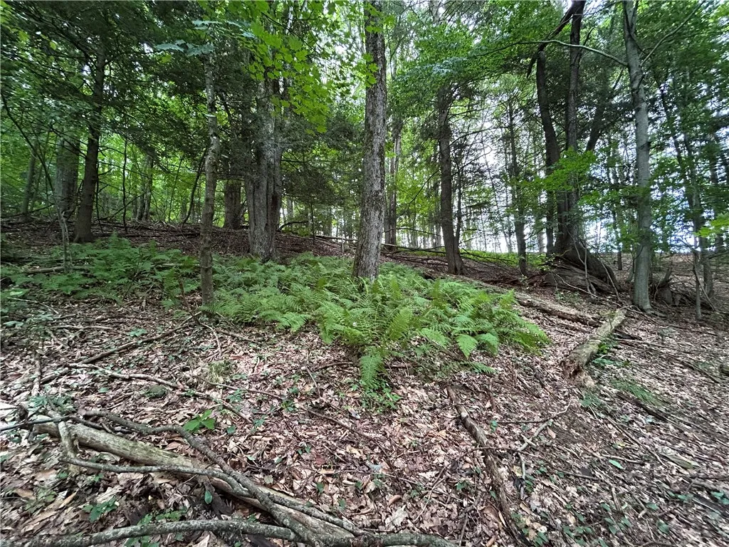 1003 County Highway 35, Masonville, New York 13839, Masonville, New York 13839, 2 Bedrooms Bedrooms, 5 Rooms Rooms,1 BathroomBathrooms,Residential,For Sale,1003 County Highway 35, Masonville, New York 13839,R1623150