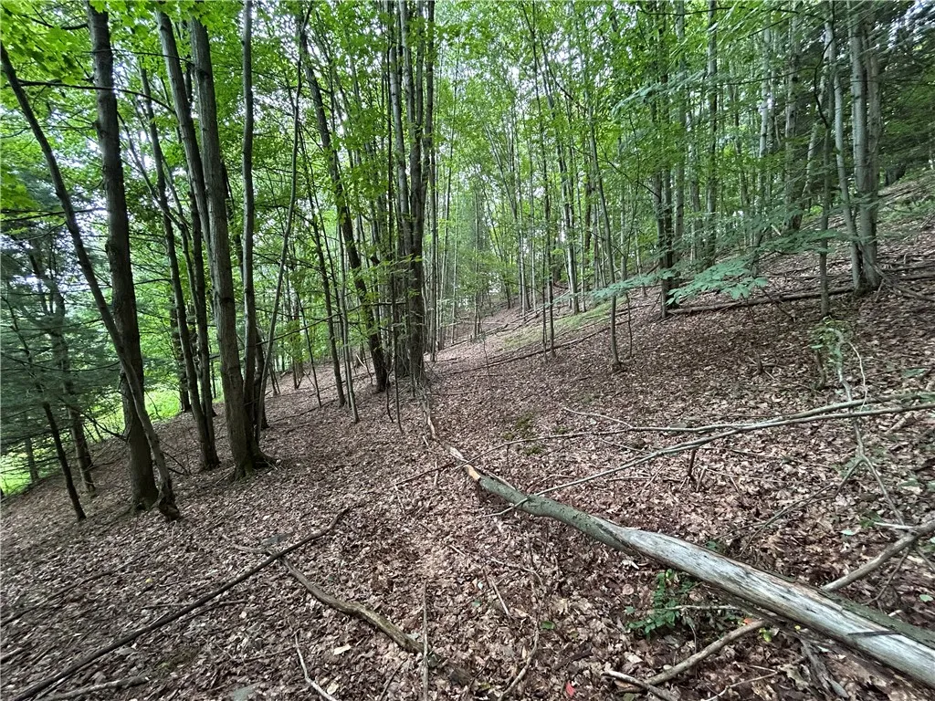 1003 County Highway 35, Masonville, New York 13839, Masonville, New York 13839, 2 Bedrooms Bedrooms, 5 Rooms Rooms,1 BathroomBathrooms,Residential,For Sale,1003 County Highway 35, Masonville, New York 13839,R1623150