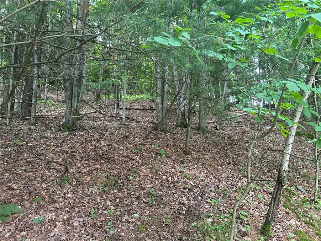 1003 County Highway 35, Masonville, New York 13839, Masonville, New York 13839, 2 Bedrooms Bedrooms, 5 Rooms Rooms,1 BathroomBathrooms,Residential,For Sale,1003 County Highway 35, Masonville, New York 13839,R1623150