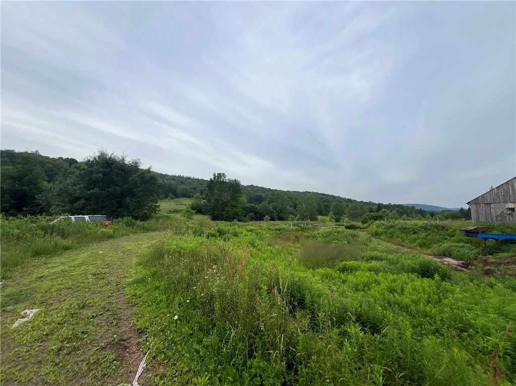 834 Crescent Valley Road, Bovina, New York 13740, Bovina, New York 13740, 4 Bedrooms Bedrooms, 7 Rooms Rooms,2 BathroomsBathrooms,Land,For Sale,834 Crescent Valley Road, Bovina, New York 13740,R1623069