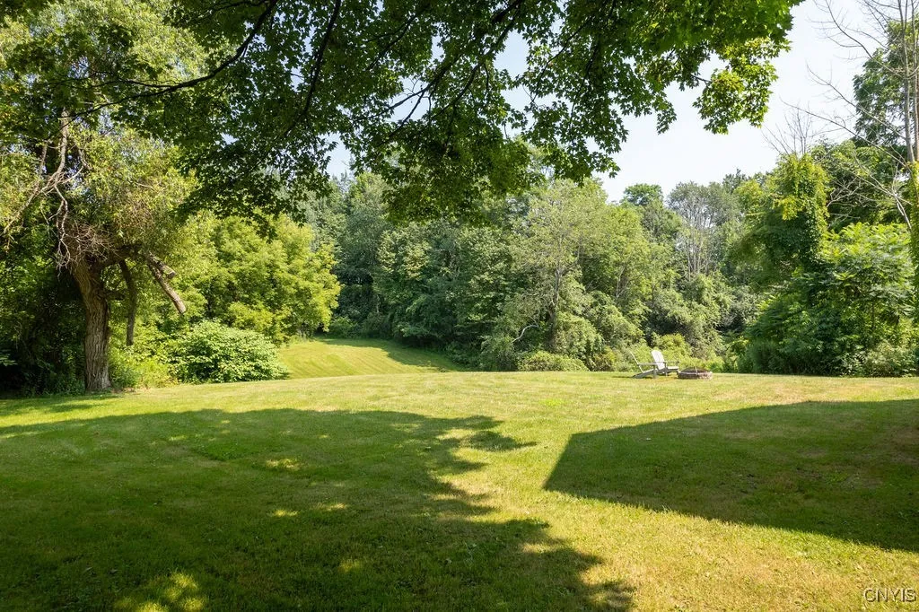Rear Yard.