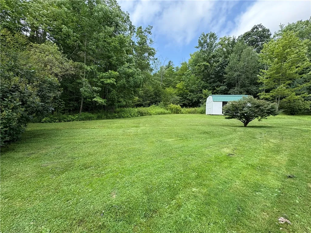 left side of house lawn