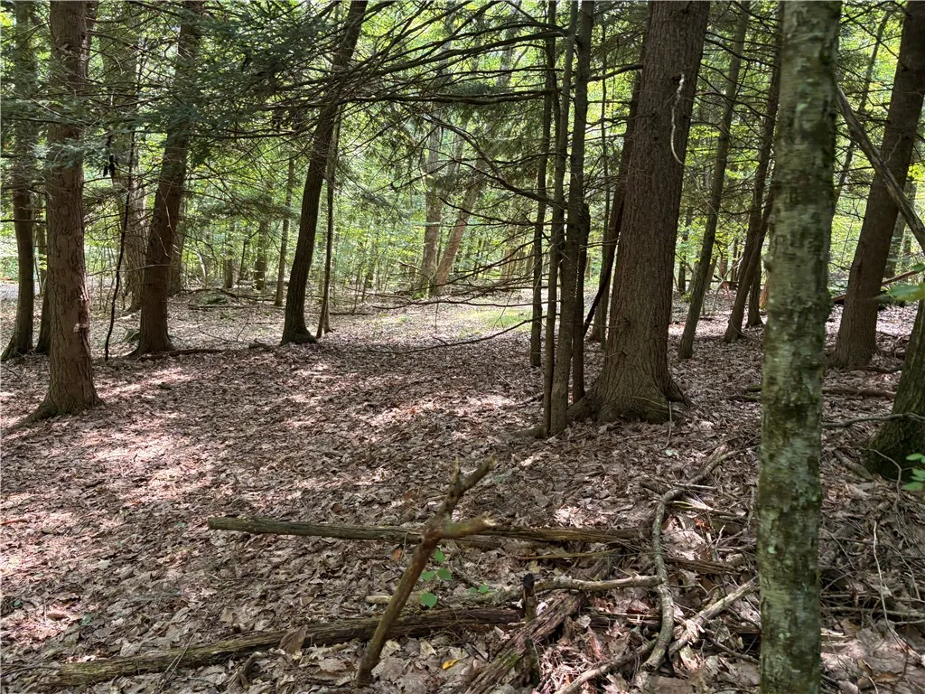 1485 Patent Line Road, Sidney, New York 13775, Sidney, New York 13775, 3 Bedrooms Bedrooms, 8 Rooms Rooms,2 BathroomsBathrooms,Residential,For Sale,1485 Patent Line Road, Sidney, New York 13775,R1622256