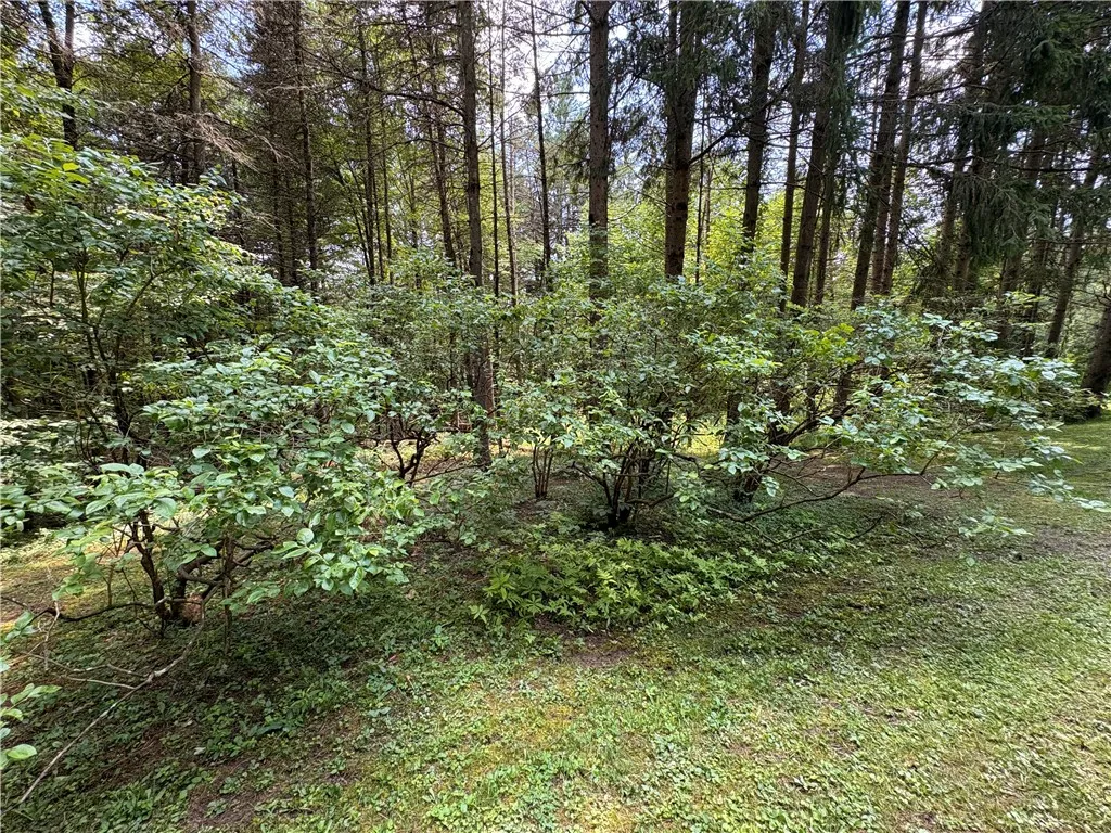 1485 Patent Line Road, Sidney, New York 13775, Sidney, New York 13775, 3 Bedrooms Bedrooms, 8 Rooms Rooms,2 BathroomsBathrooms,Residential,For Sale,1485 Patent Line Road, Sidney, New York 13775,R1622256