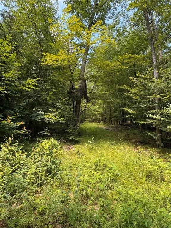 one of several tree stands - do not convey