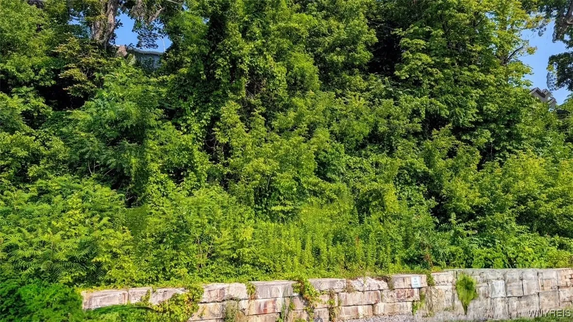 Water Street, Porter, New York 14174, Porter, New York 14174, ,Land,For Sale,Water Street, Porter, New York 14174,B1621239
