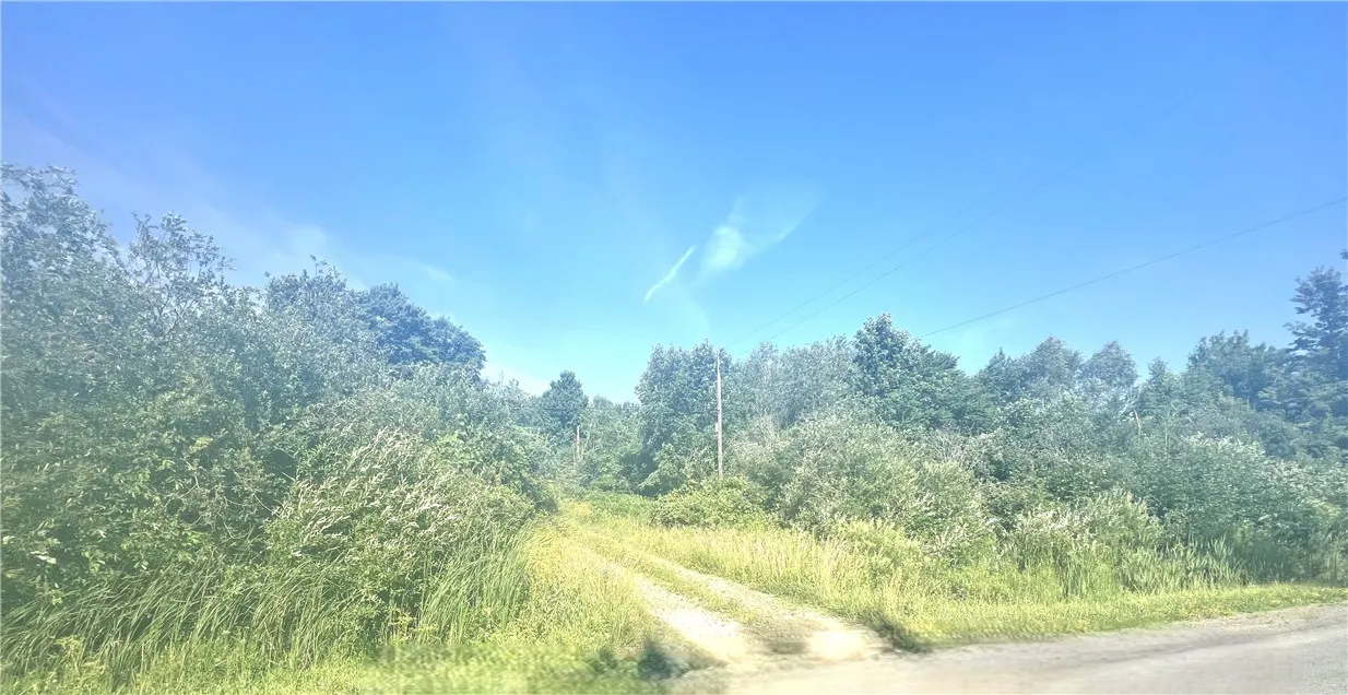 3843 Pre-emption Road, Tyrone, New York 14891, Tyrone, New York 14891, ,Land,For Sale,3843 Pre-emption Road, Tyrone, New York 14891,R1623263