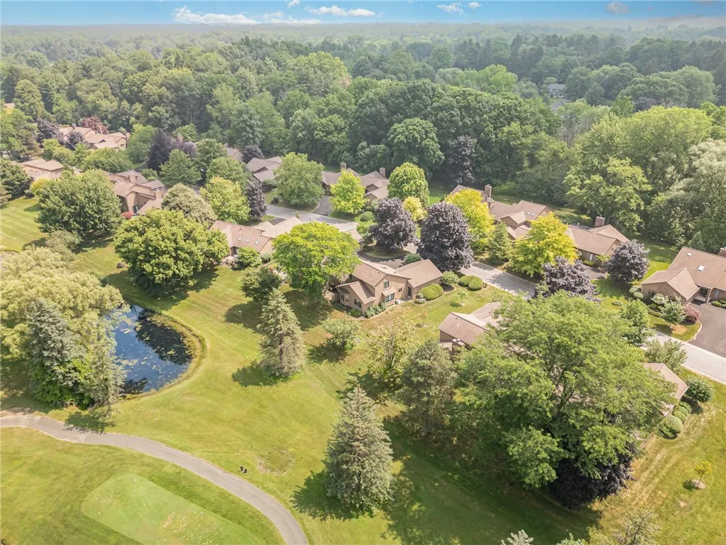 OVERLOOKING POND