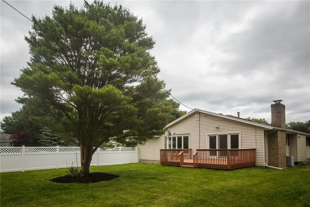 A territorial view of the back yard
