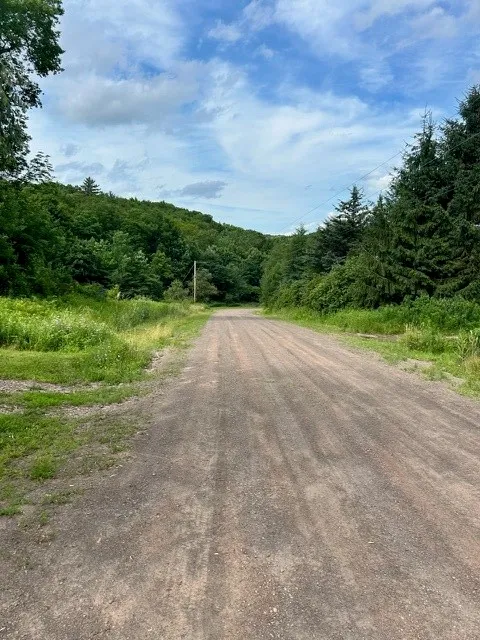85 Crawford Road, Hamden, New York 13782, Hamden, New York 13782, ,Land,For Sale,85 Crawford Road, Hamden, New York 13782,R1619396