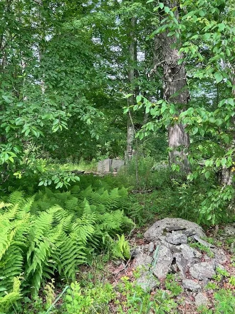 85 Crawford Road, Hamden, New York 13782, Hamden, New York 13782, ,Land,For Sale,85 Crawford Road, Hamden, New York 13782,R1619396