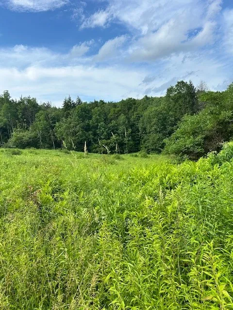 85 Crawford Road, Hamden, New York 13782, Hamden, New York 13782, ,Land,For Sale,85 Crawford Road, Hamden, New York 13782,R1619396