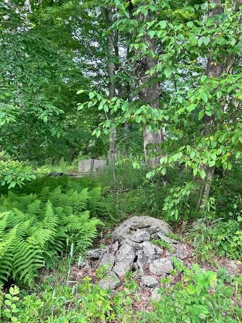 85 Crawford Road, Hamden, New York 13782, Hamden, New York 13782, ,Land,For Sale,85 Crawford Road, Hamden, New York 13782,R1619396